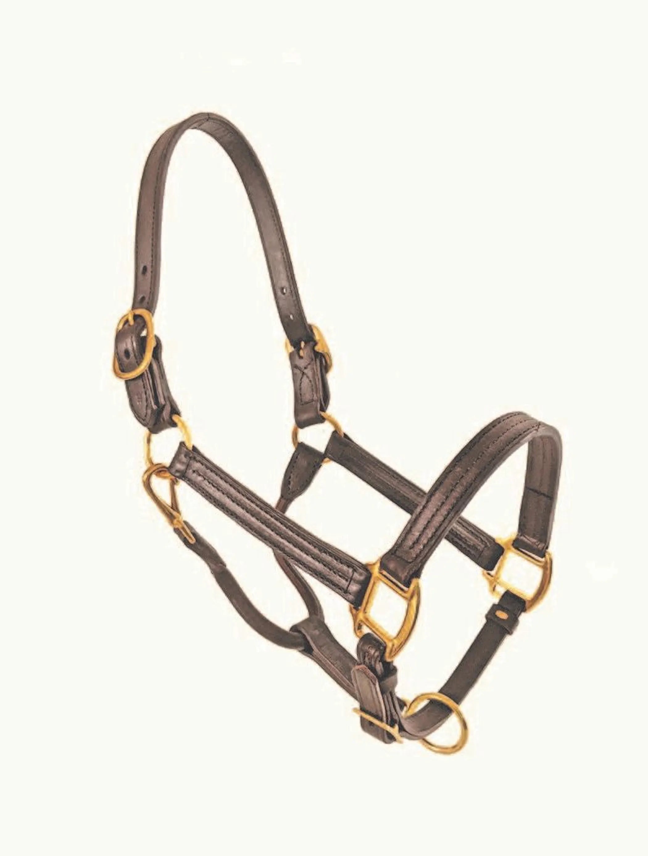 1" Track Halter