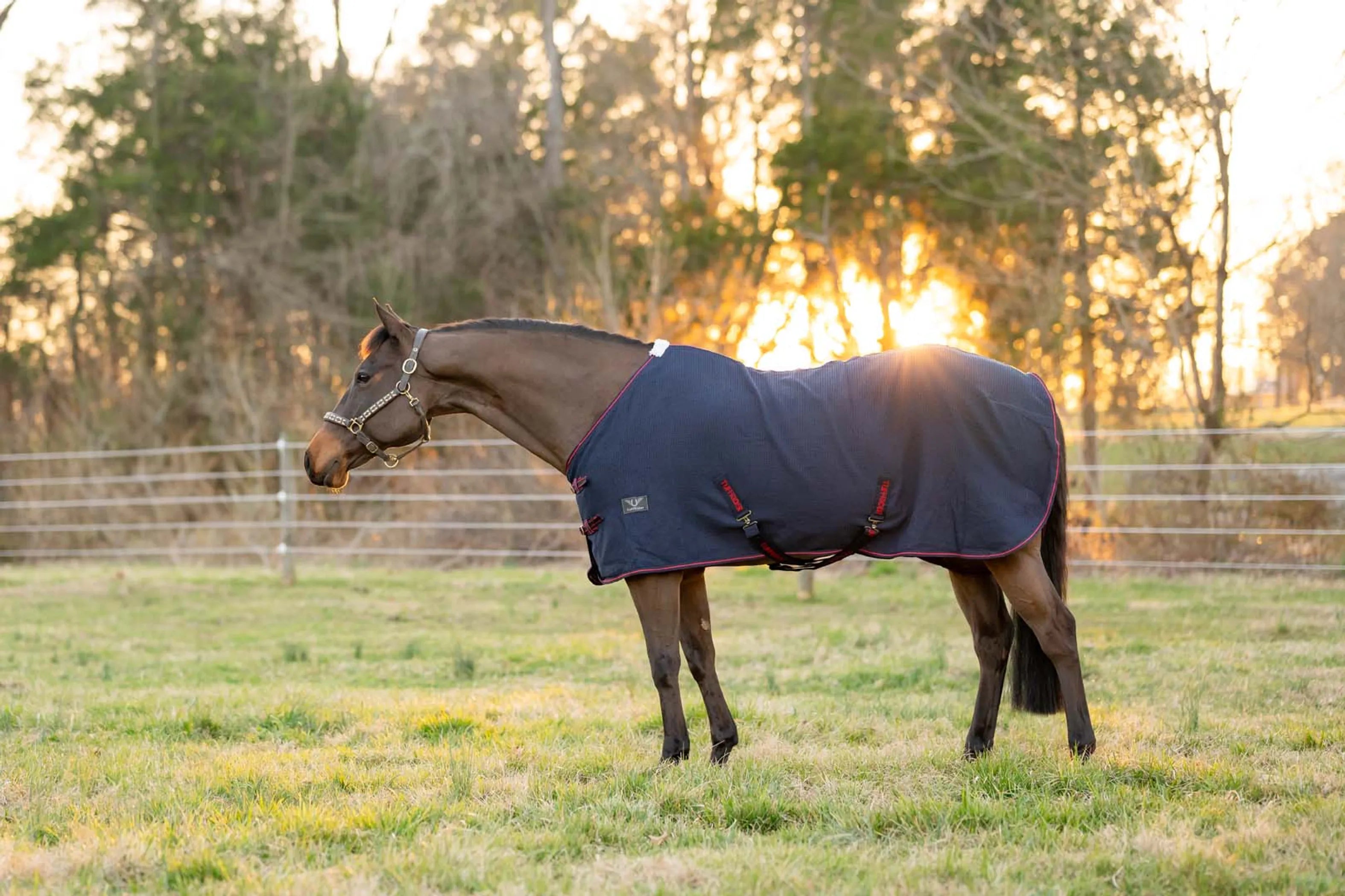 TuffRider Waffle Weave Cooler Standard Neck-Navy-69