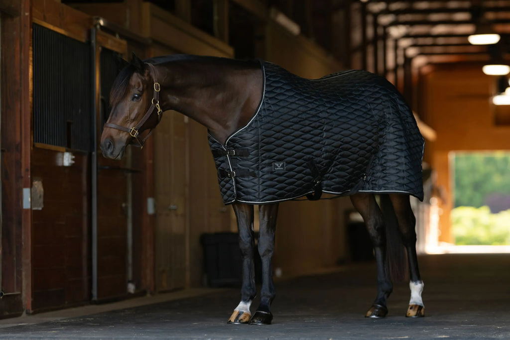 TuffRider Kozy Komfort  Stable Blanket With Diamond Quilting -420 D 200 GSM of fill- Black w/Black/White Trim-69