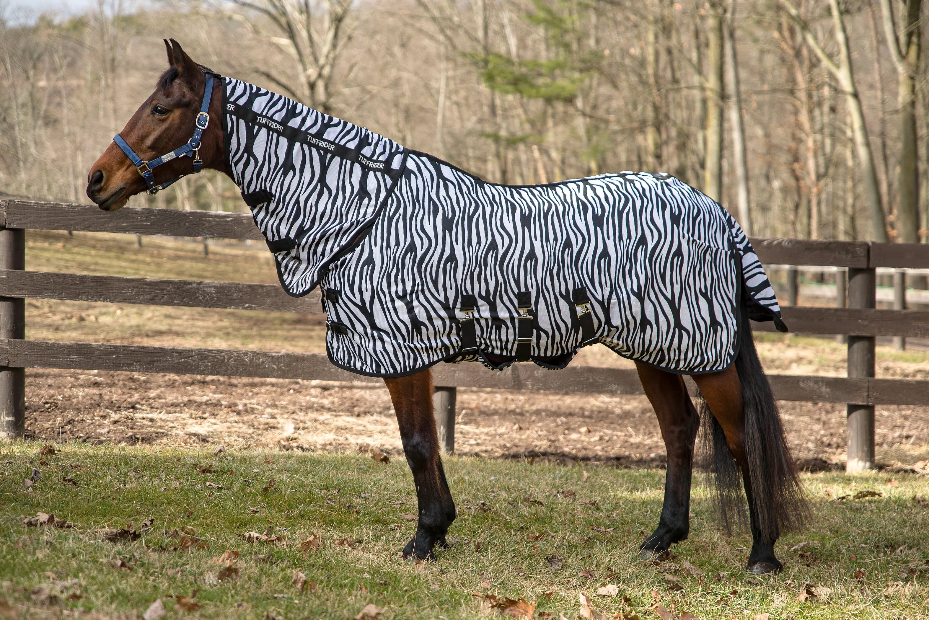 TuffRider Comfy Plus Combo Neck Fly Sheet- Zebra Print -69