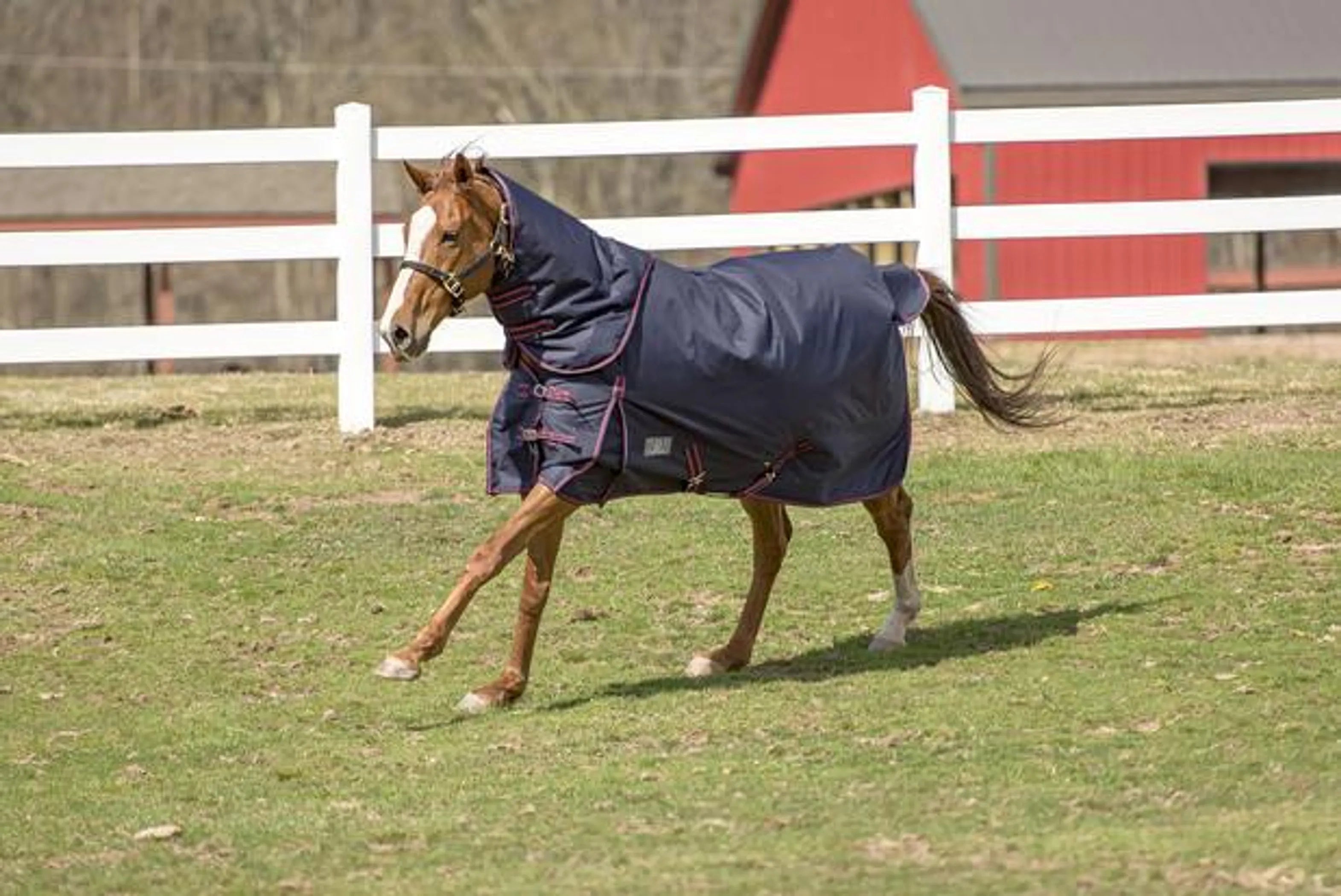 TuffRider 1200 D Comfy Winter Medium Weight Turnout Blanket w/ Detachable Neck- 200 GSM- Turquoise- 69