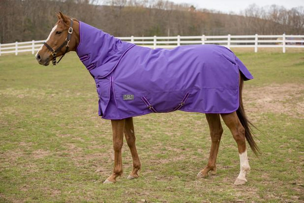 TuffRider 1200 D Comfy Winter Medium Weight Turnout Blanket w/ Detachable Neck- 200 GSM- Turquoise- 69