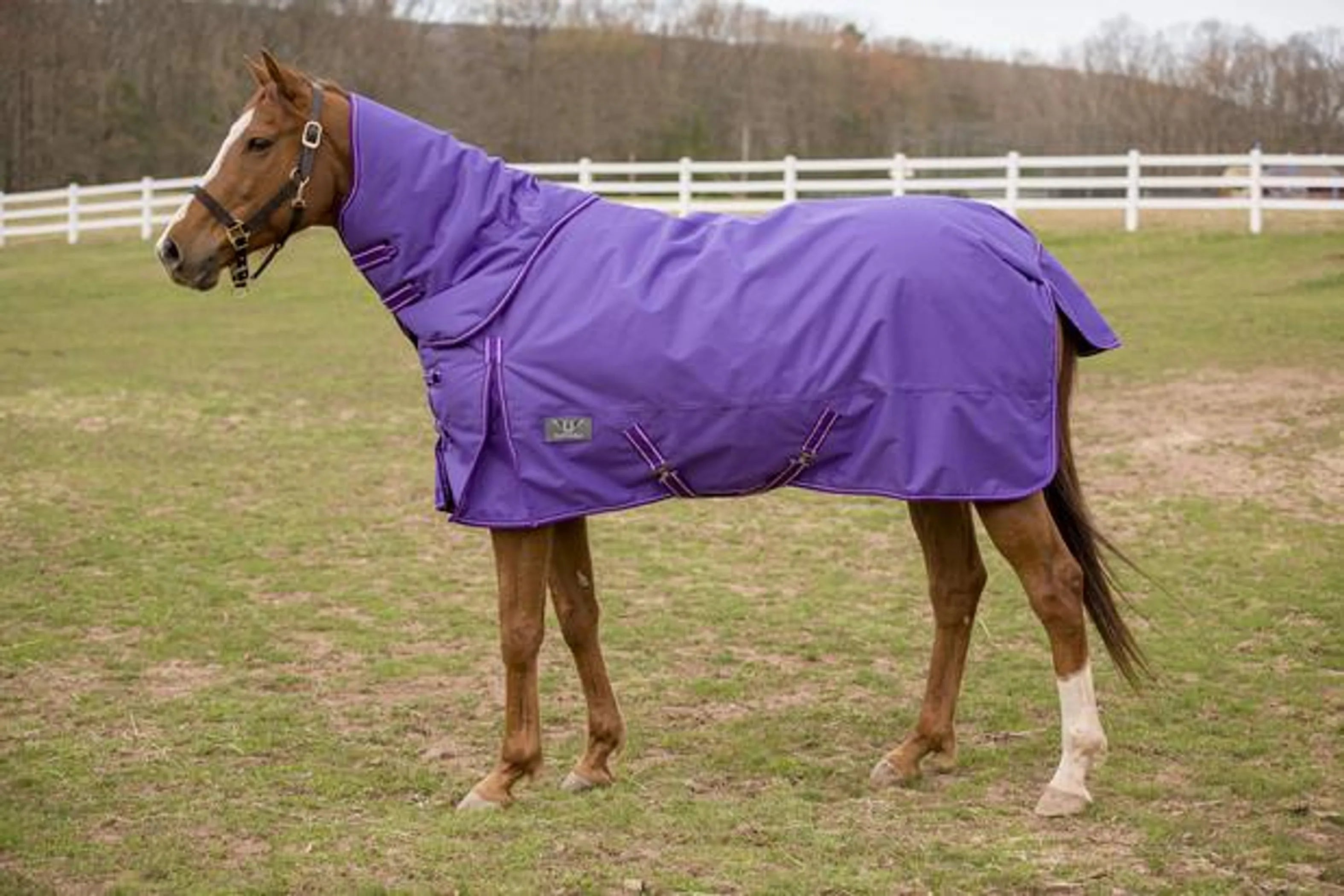 TuffRider 1200 D Comfy Winter Medium Weight Turnout Blanket w/ Detachable Neck- 200 GSM- Turquoise- 69