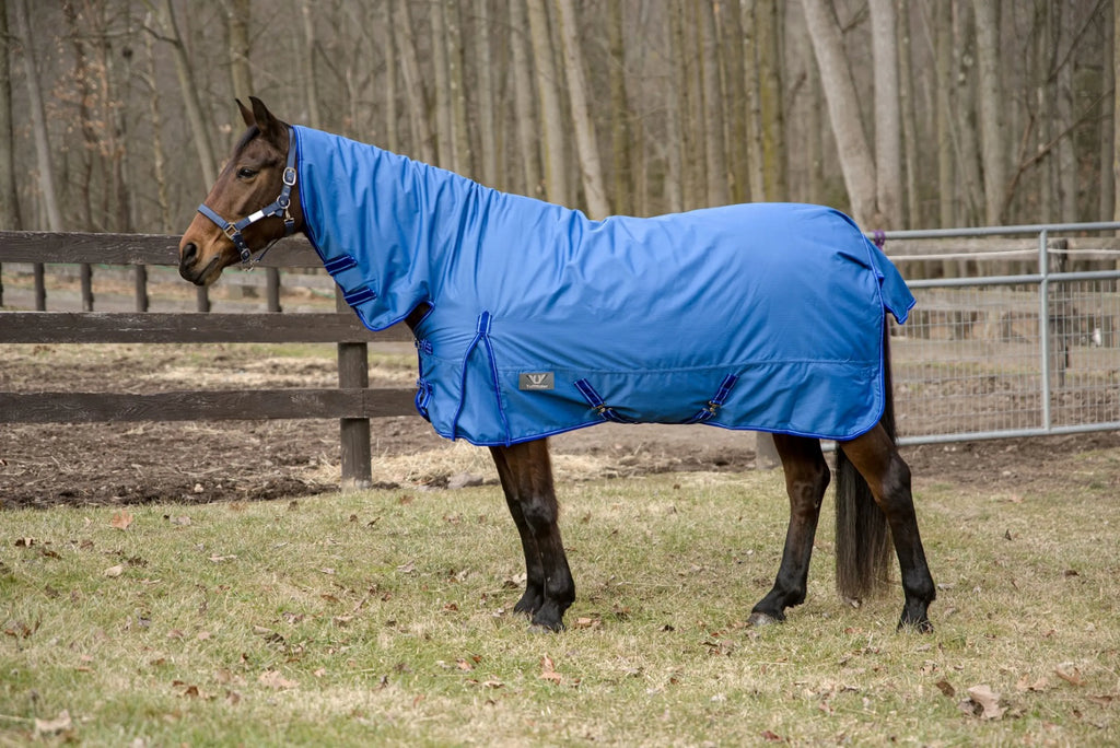 TuffRider 600 D Comfy Winter Medium Weight Turnout Blanket w/ Combo Neck- 200 GSM- Turquoise- 69