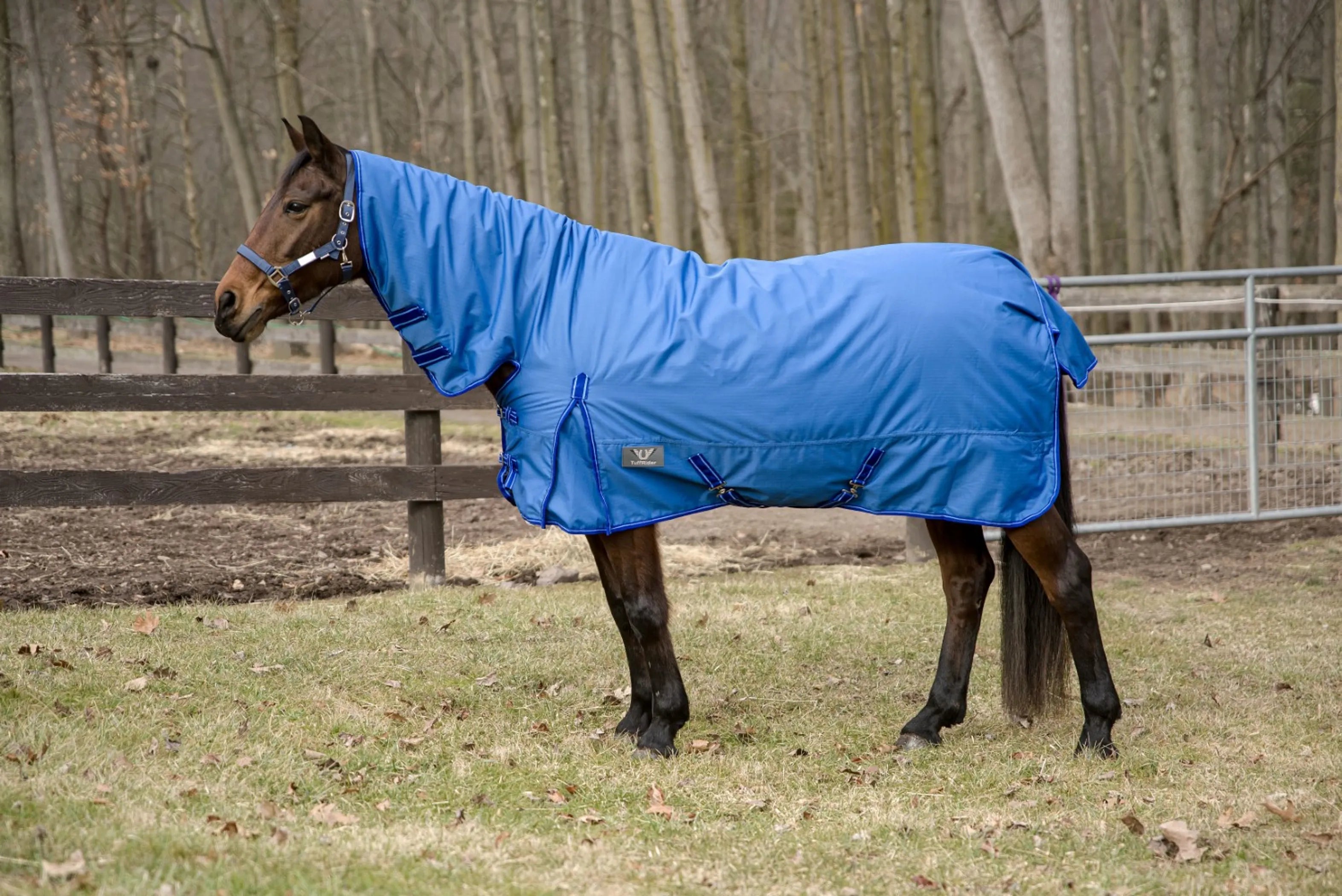 TuffRider 600 D Comfy Winter Medium Weight Turnout Blanket w/ Combo Neck- 200 GSM- Turquoise- 69