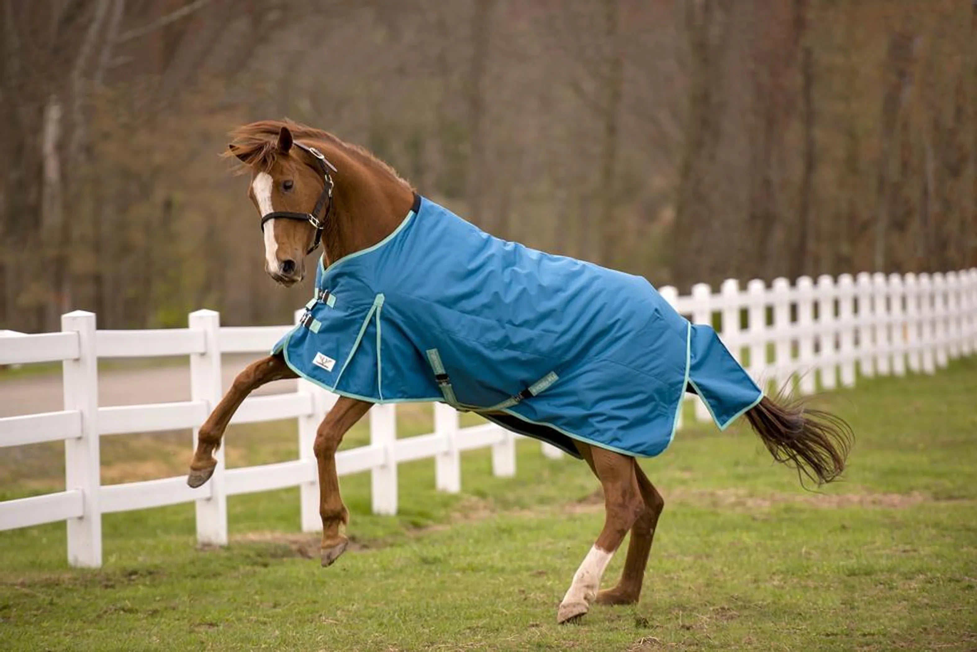 TUFFRIDER ECORIDER 1200 D MEDIUM WEIGHT STANDARD NECK TURNOUT BLANKET 250 GSM