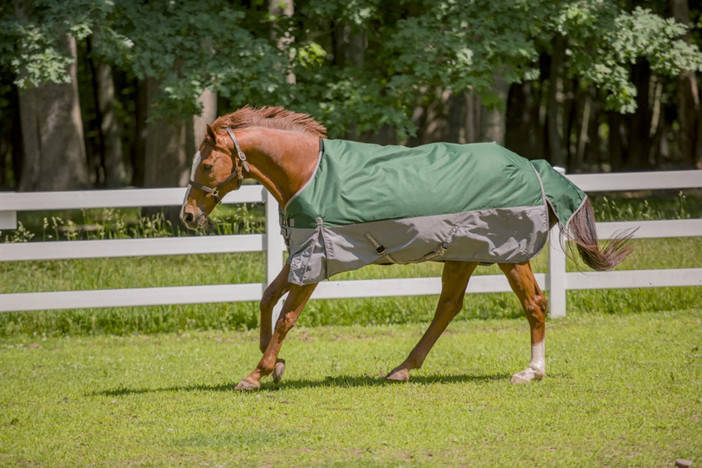 TuffRider Bonum 1200D Medium Weight Standard Neck Two Tone Turnout Blanket With 200gms of fill