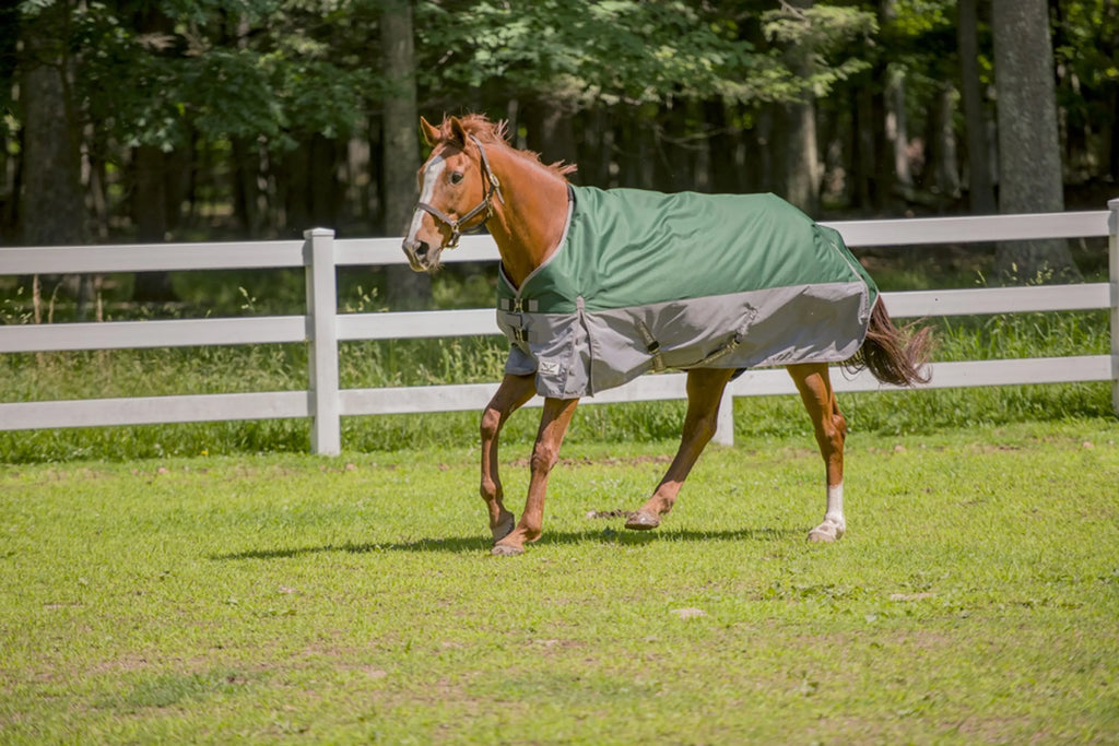 TuffRider Bonum 1200D Medium Weight Standard Neck Two Tone Turnout Blanket With 200gms of fill