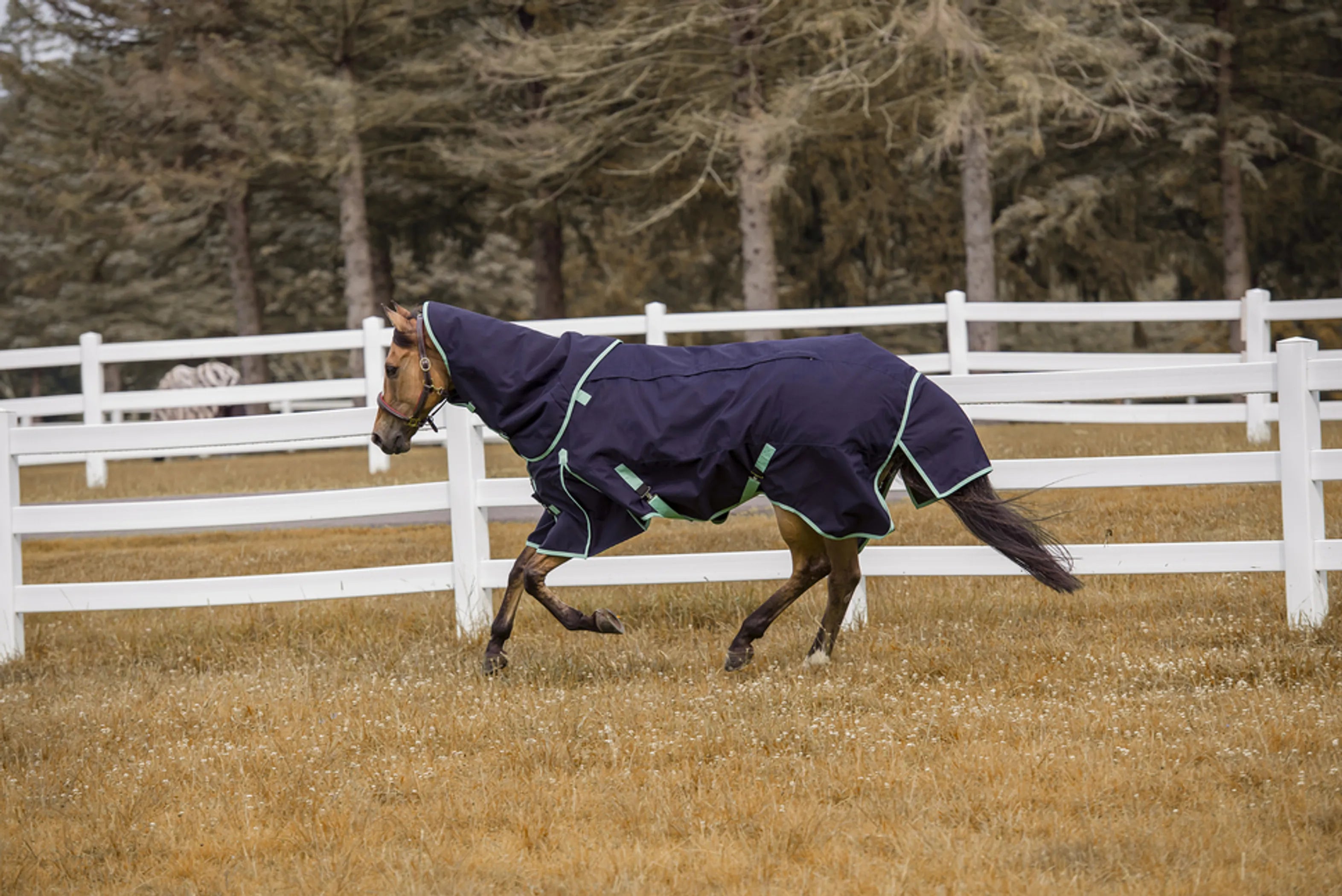 TuffRider All Season Turnout Blanket