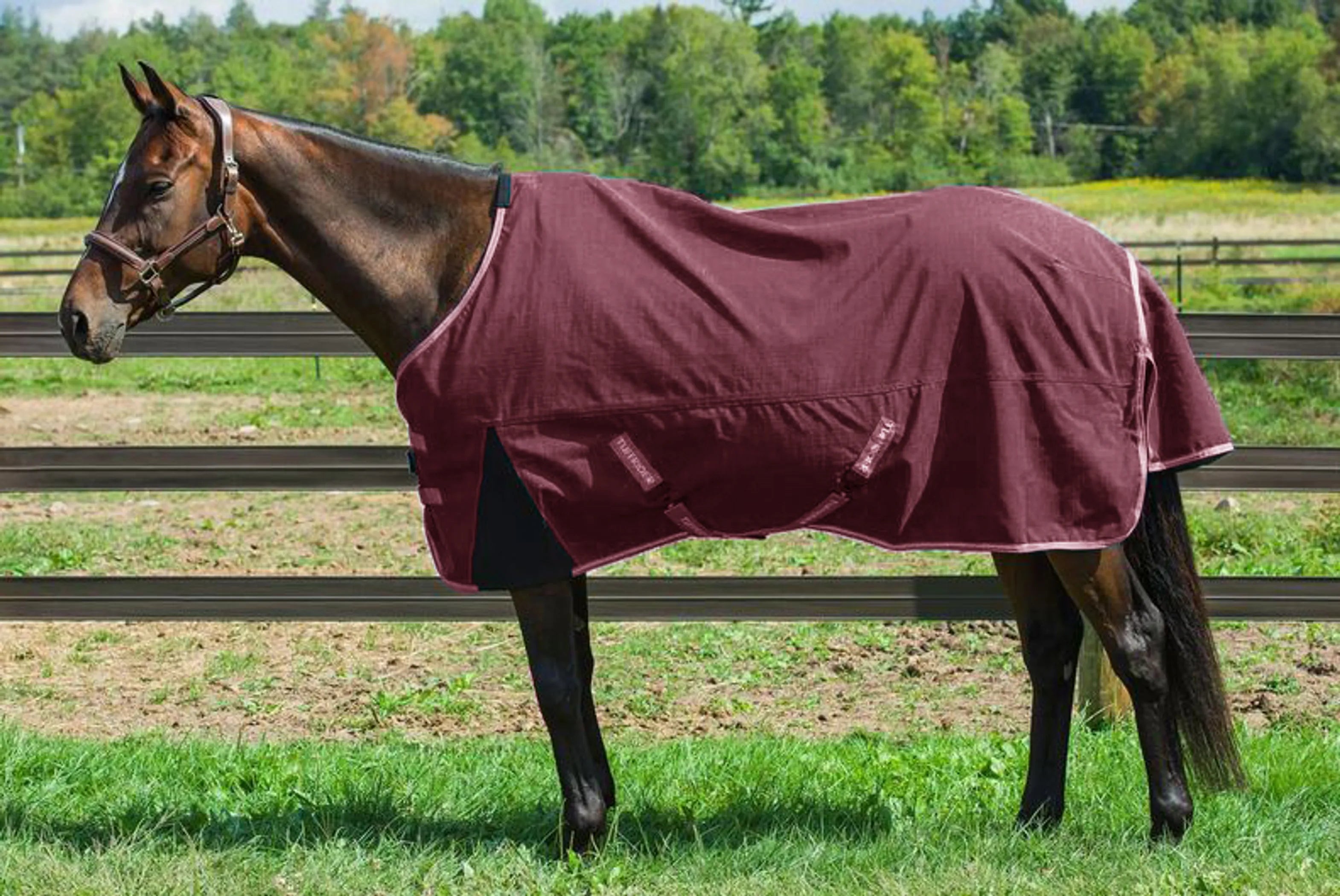 TuffRider Bonum 1200D Ripstop Turnout Sheet with Standard Neck - Maroon  - 72